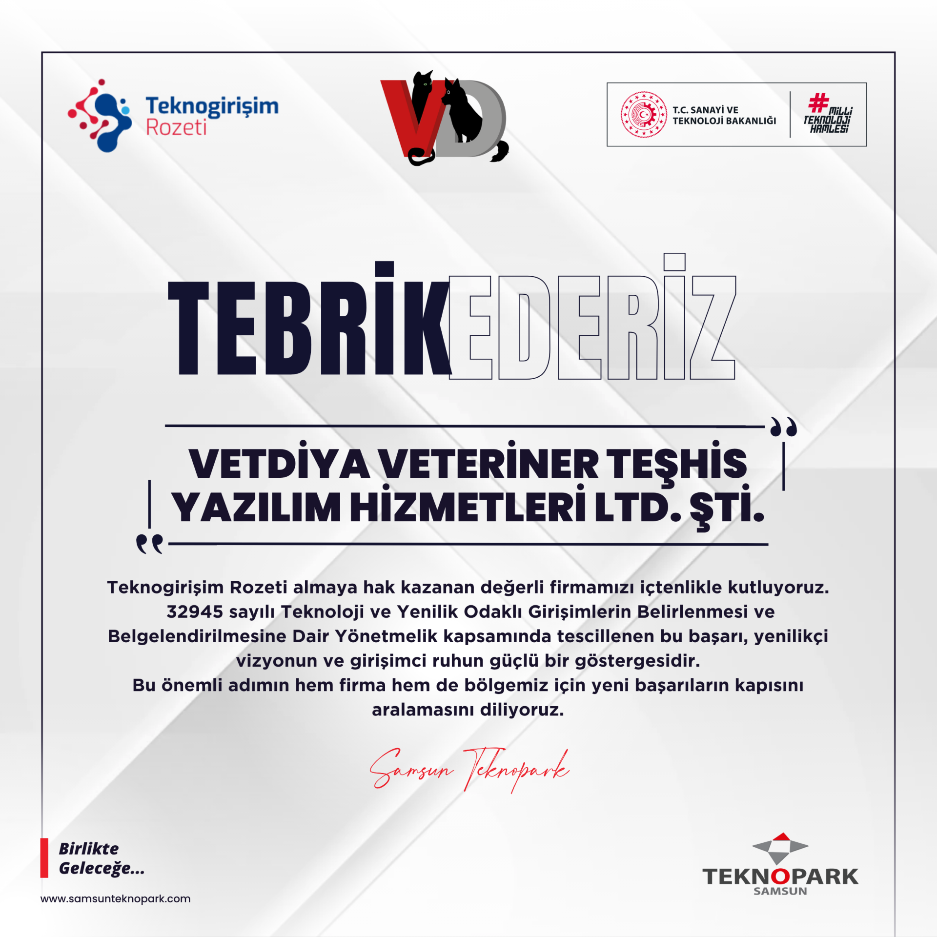 TEKNOGİRİŞİM ROZETİ