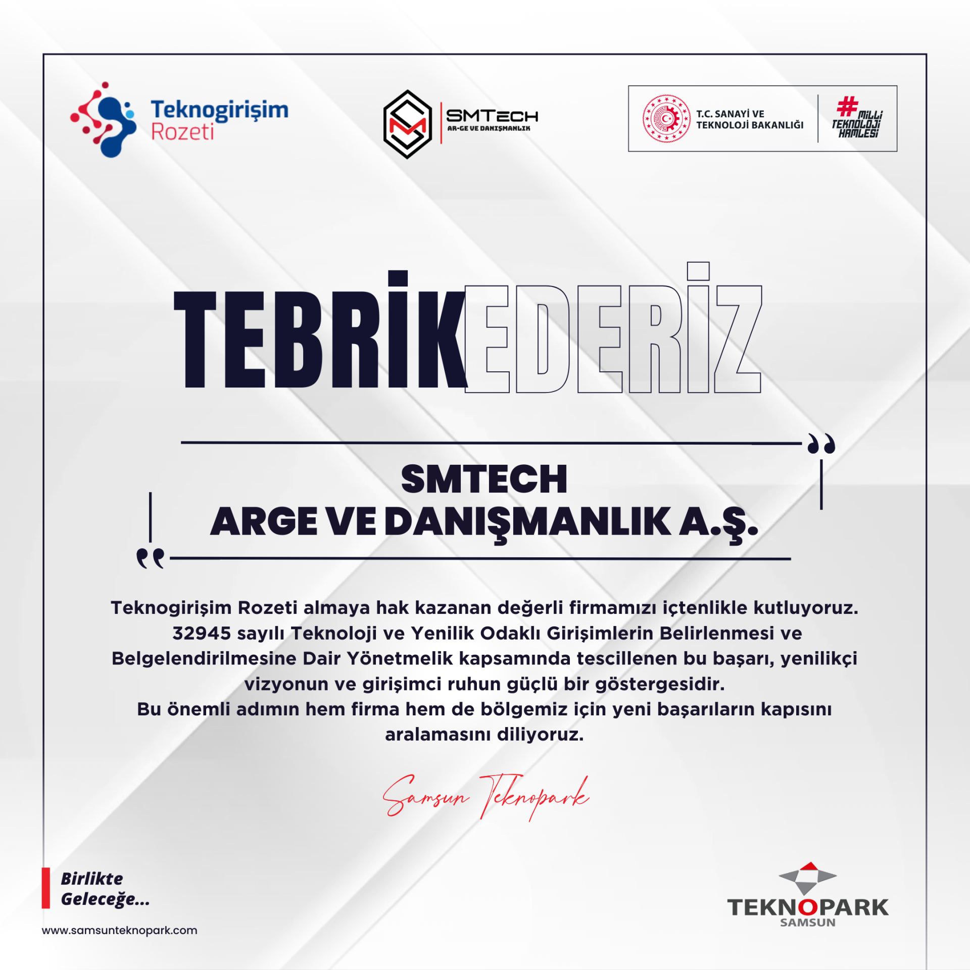 TEKNOGİRİŞİM ROZETİ