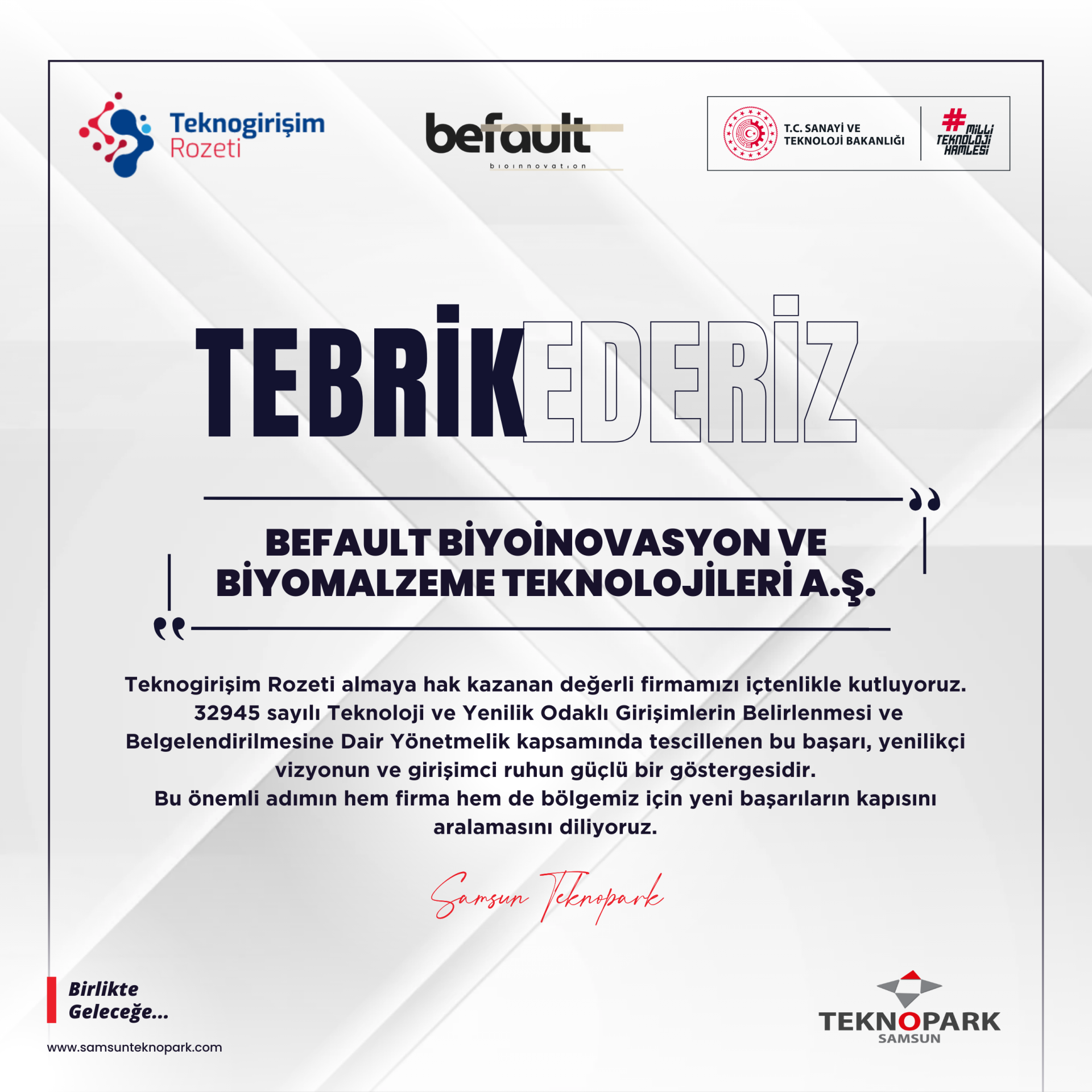 TEKNOGİRİŞİM ROZETİ