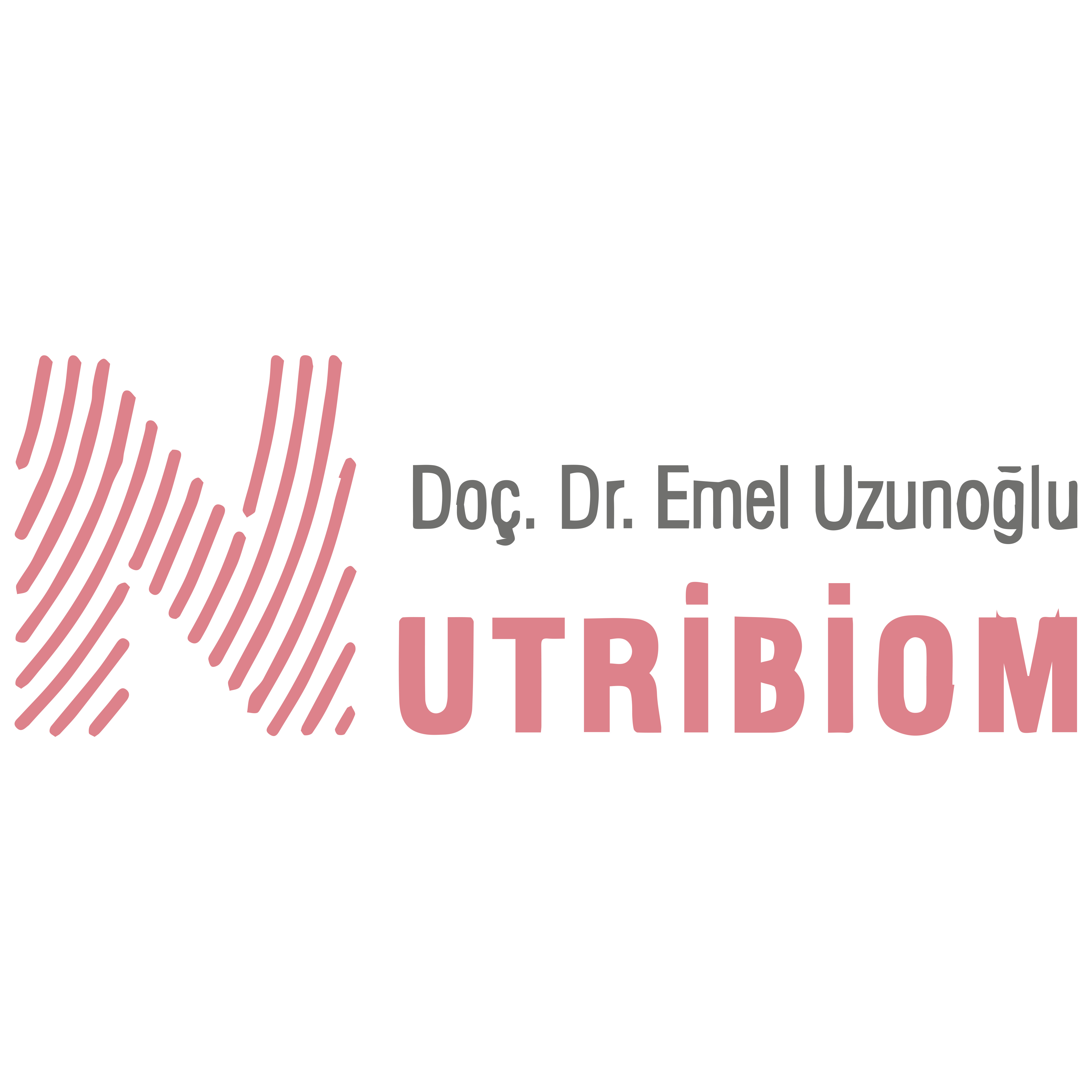 Nutribiom Sağlık Hizmetleri Sağlıklı Beslenme Danışmanlık İlaç Kozmetik Sanayi ve Ticaret Limited Şirketi