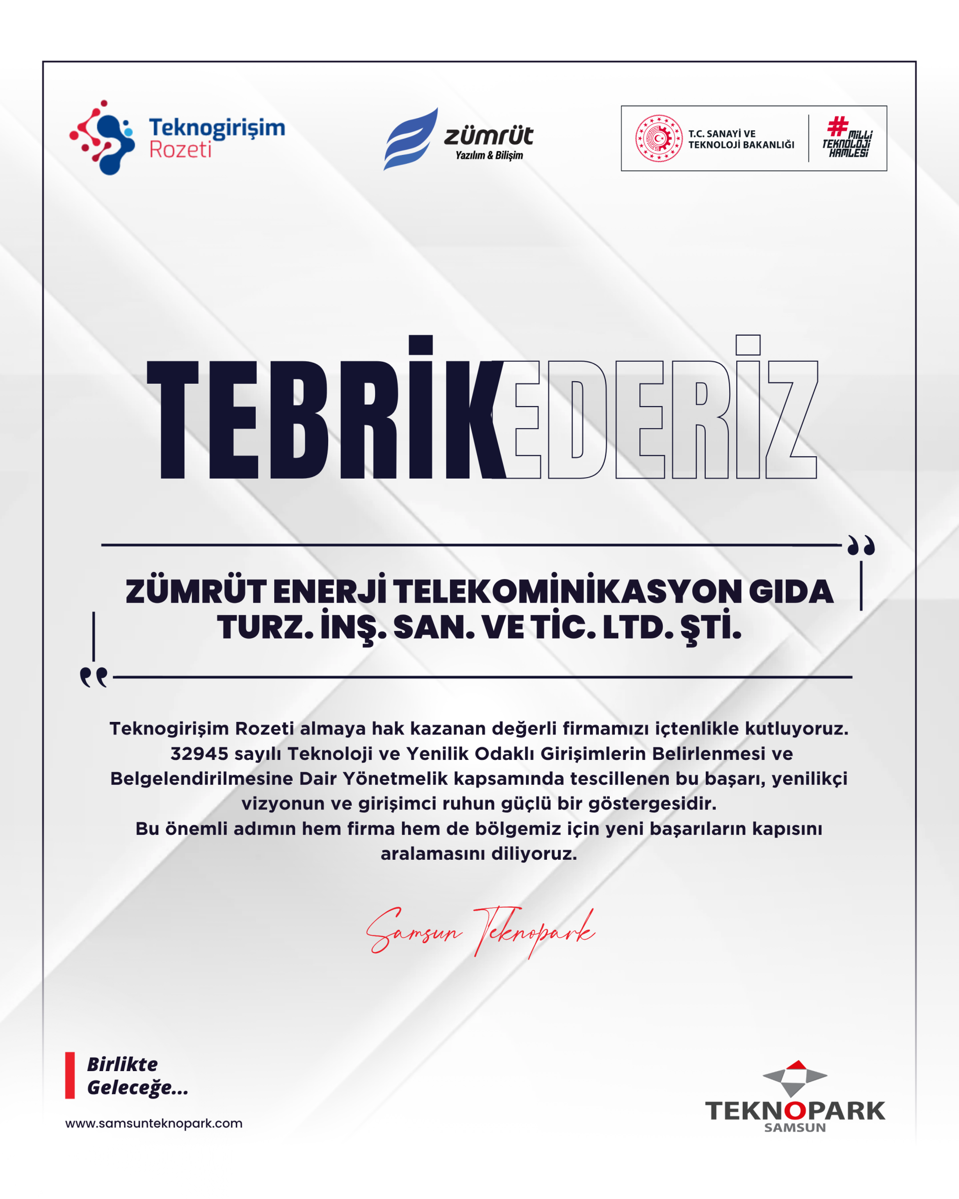 TEKNOGİRİŞİM ROZETİ