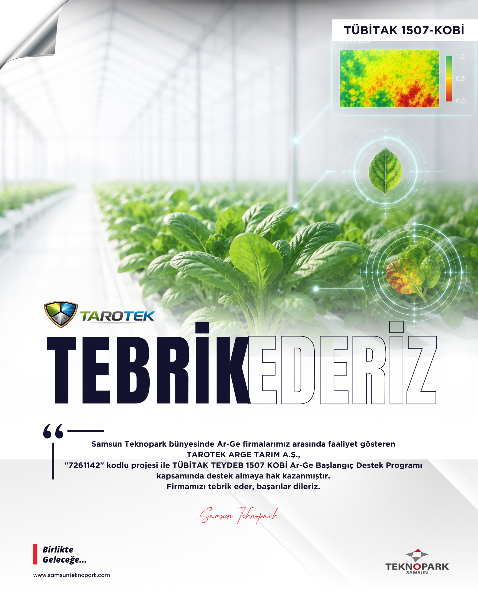 TÜBİTAK 1507